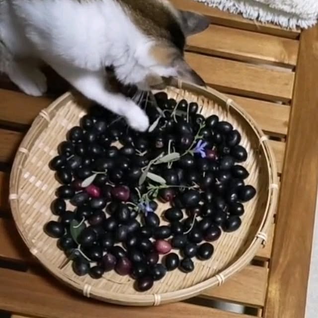 mori_6_12さんの部屋