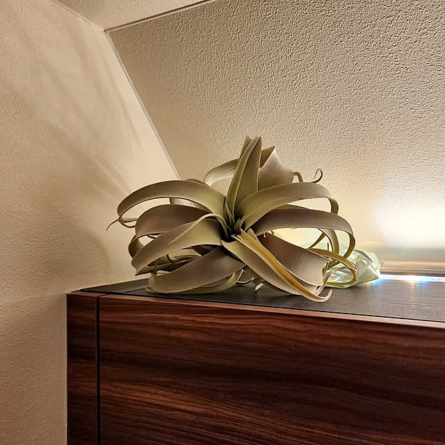 75さんの実例写真