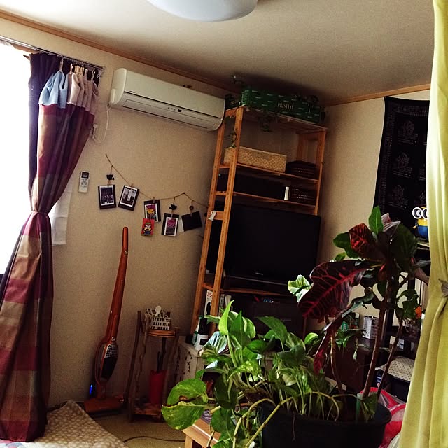 summer_lily_03さんの実例写真