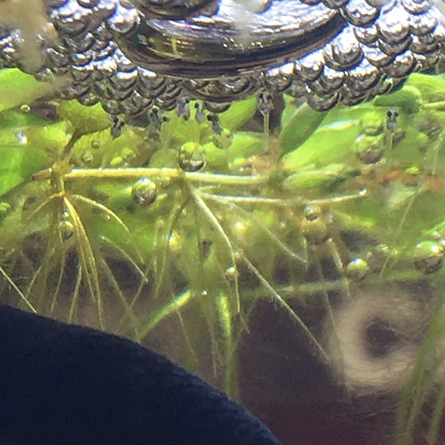 tetra163さんの実例写真