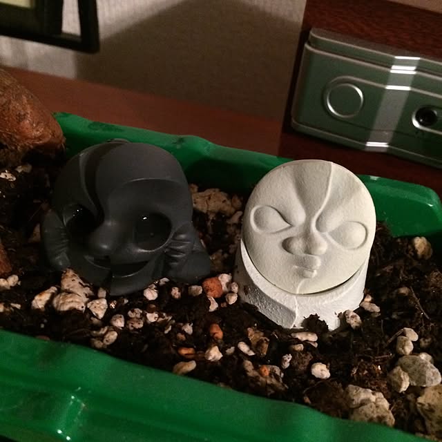 miii3coさんの実例写真