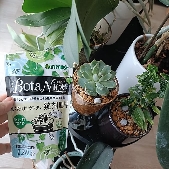 reko639さんの部屋
