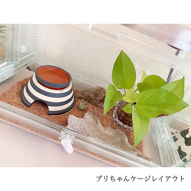 chaluさんの実例写真