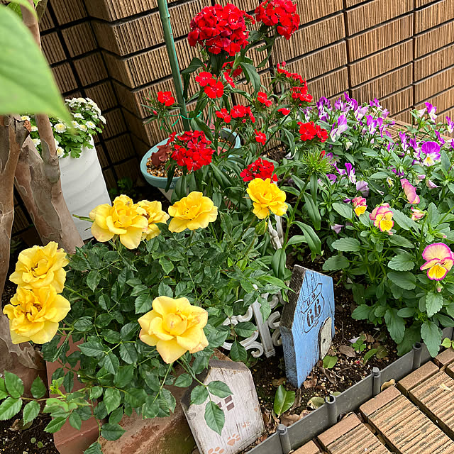 maron915さんの実例写真