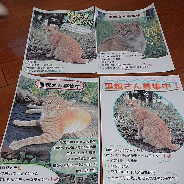 NOAHさんの部屋