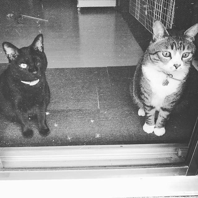 Akimasaさんの実例写真