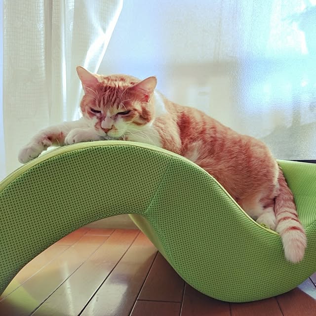 NOAHさんの部屋