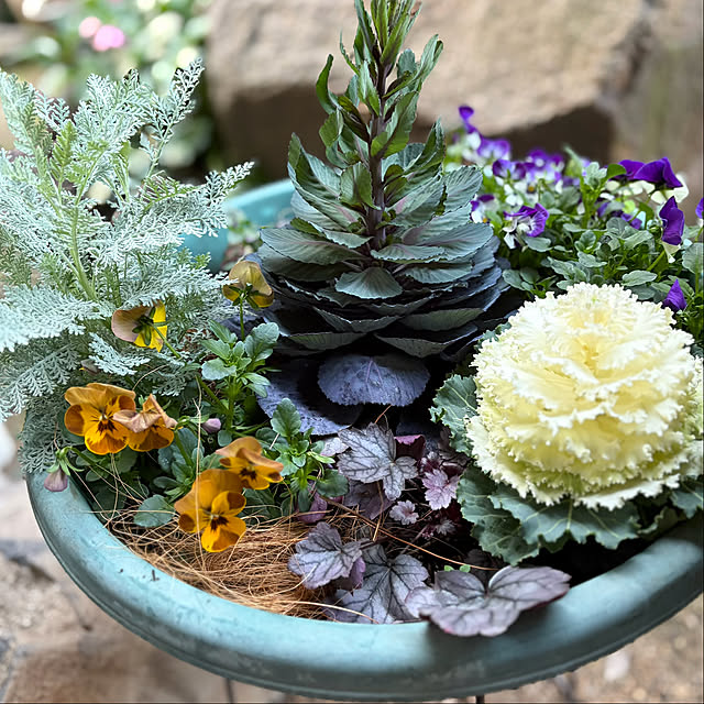 buchiさんの部屋