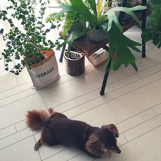 rikakoさんの実例写真
