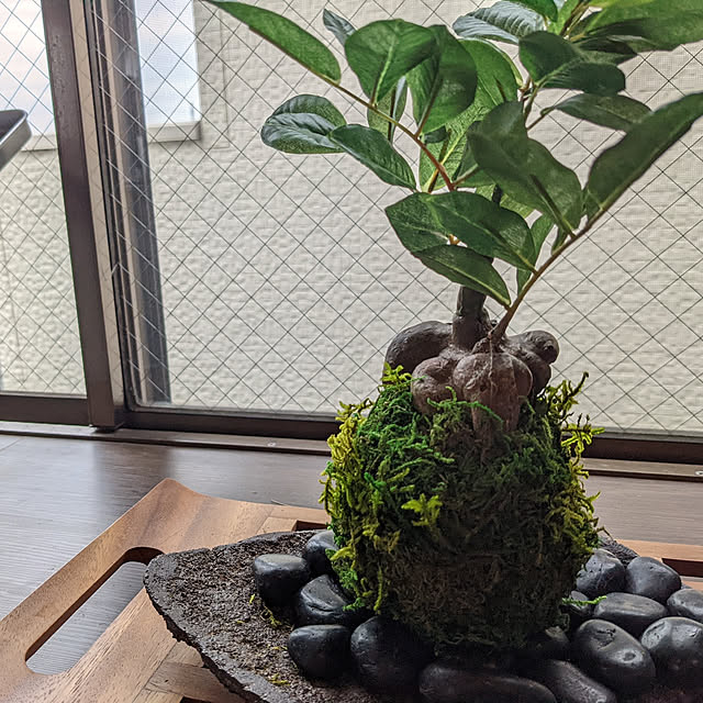 miyabiさんの実例写真