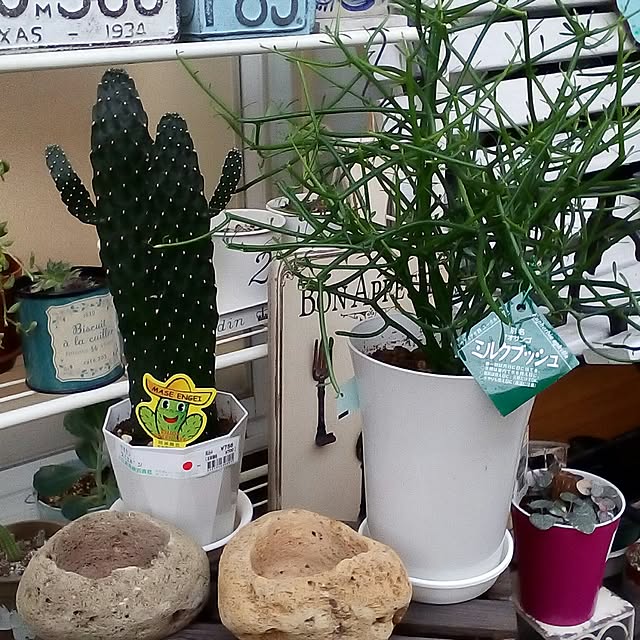 mariagardenさんの実例写真