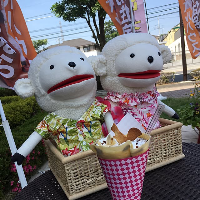 実例写真