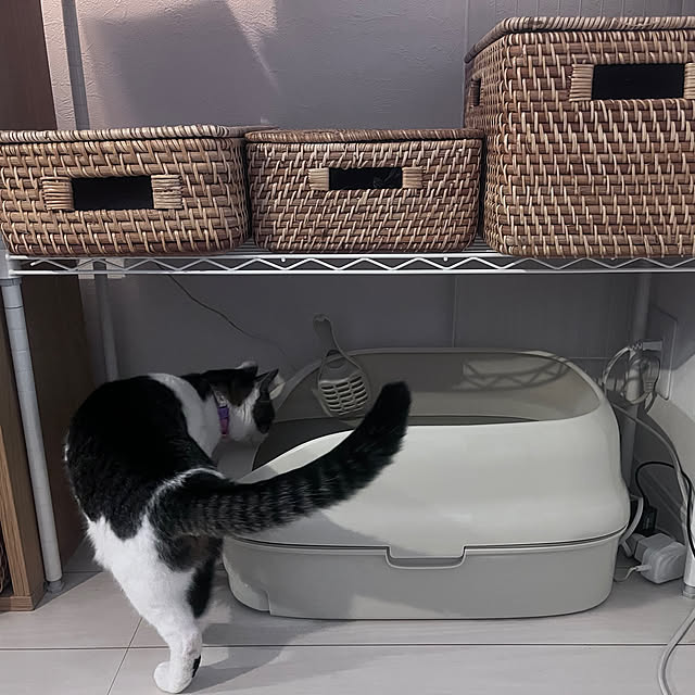 mu_chanさんの部屋