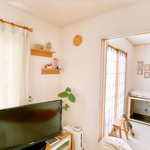 rinoさんの部屋