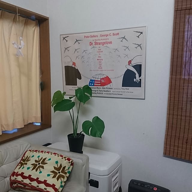 hayacoさんの実例写真