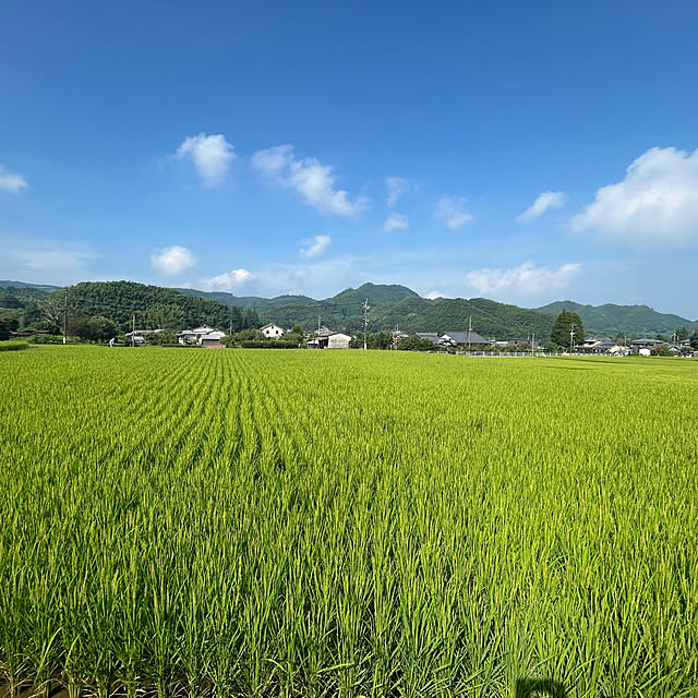 banbinaさんの実例写真