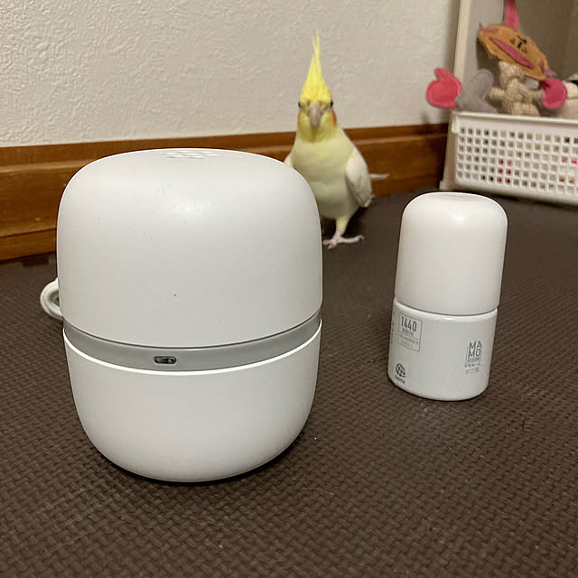 toratanさんの部屋