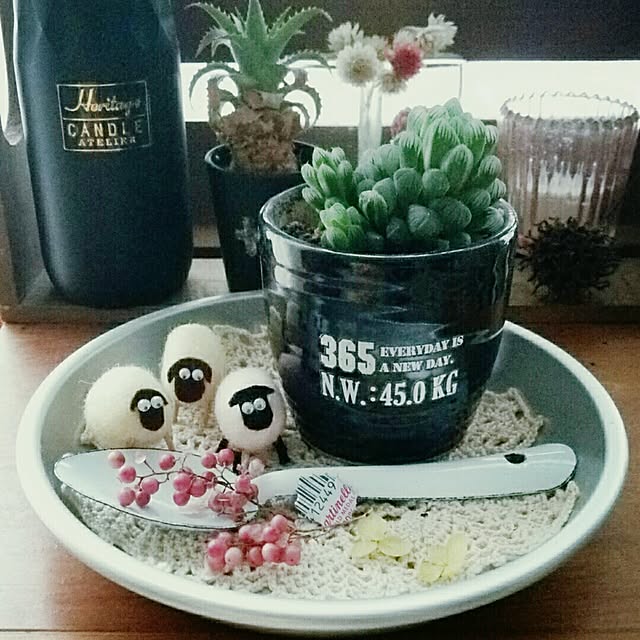 sakusakuさんの実例写真