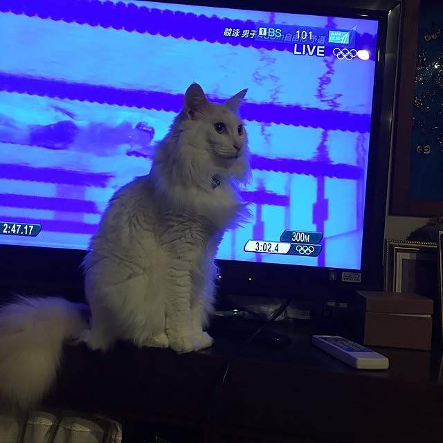 shigimiさんの実例写真