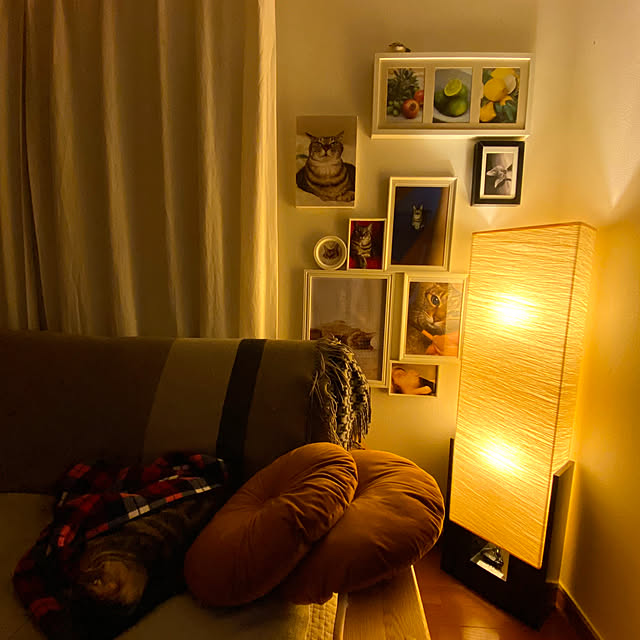 cat-number9さんの実例写真