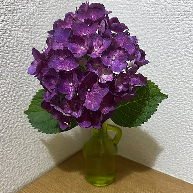 nannoさんの実例写真
