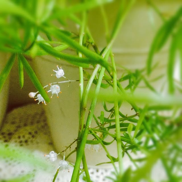 manatomoさんの実例写真