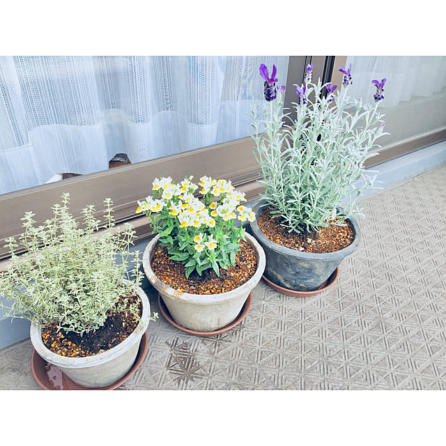 Maiko.さんの実例写真