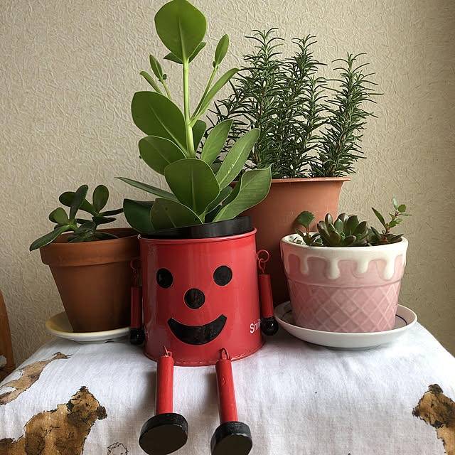 cheesesand99さんの実例写真