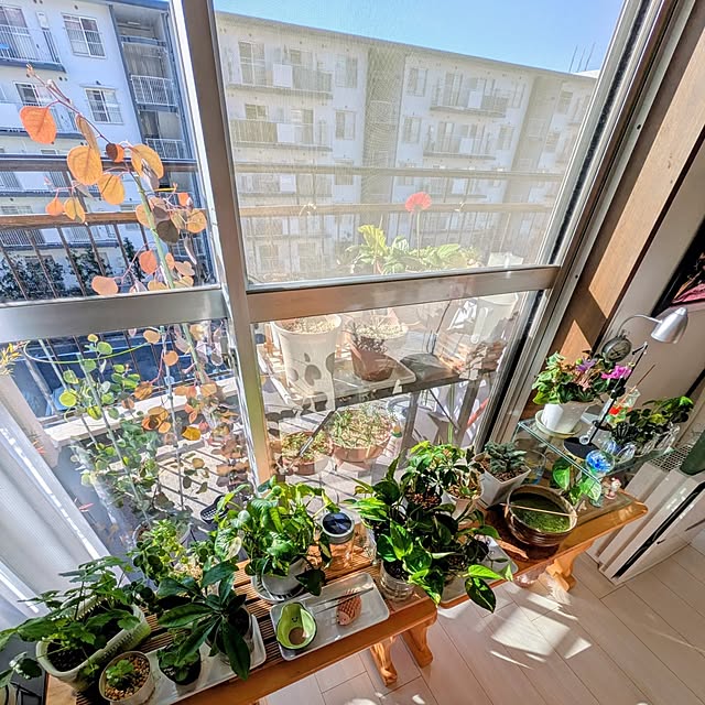 mi-saさんの実例写真