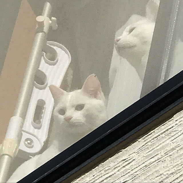 yuki48さんの実例写真
