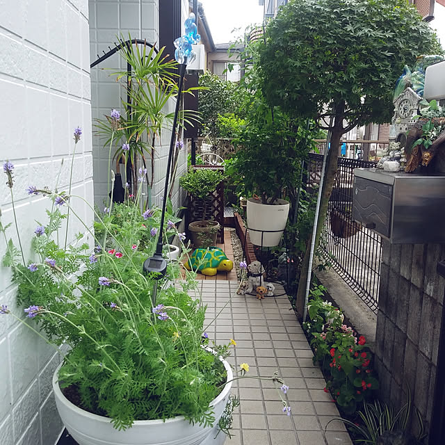 sacchanさんの実例写真
