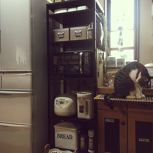 Rumiさんの実例写真