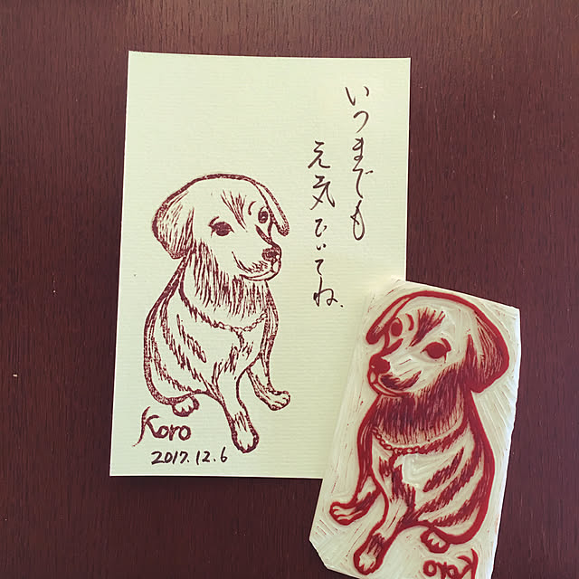 ray55さんの実例写真