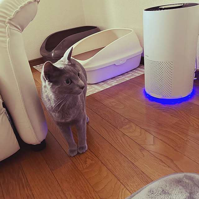 kyonさんの実例写真