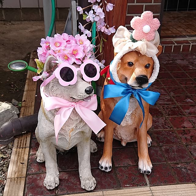 NOAHさんの実例写真