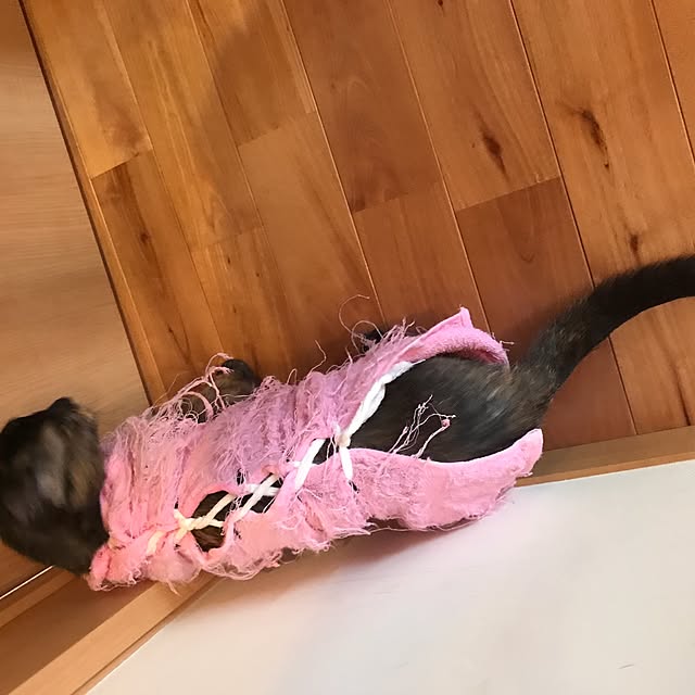 noraさんの実例写真