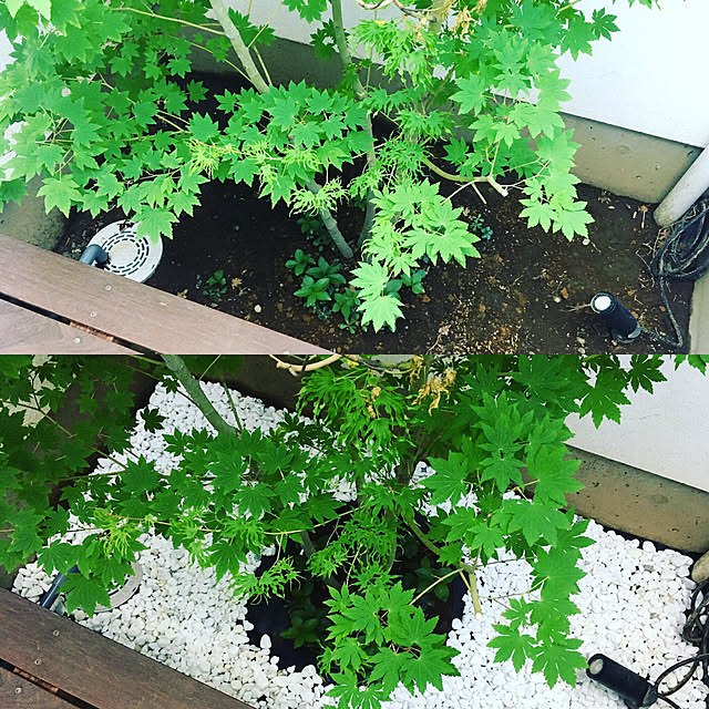 KYOKOSHIMODAさんの実例写真