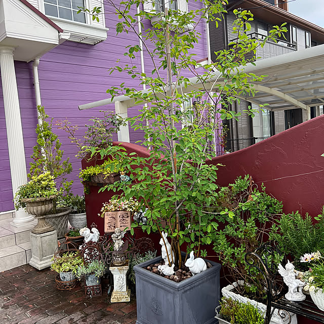 AYUKOさんの実例写真