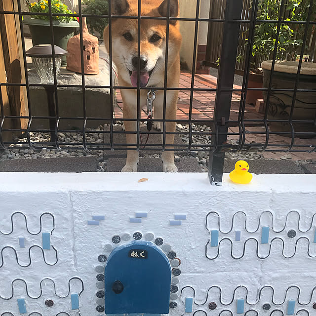 boneさんの実例写真