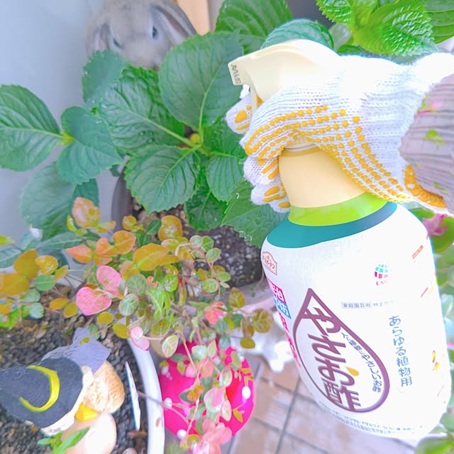 mariaさんの実例写真