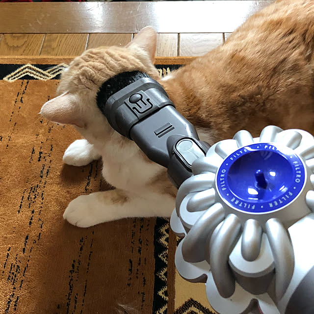 aiaiさんの実例写真