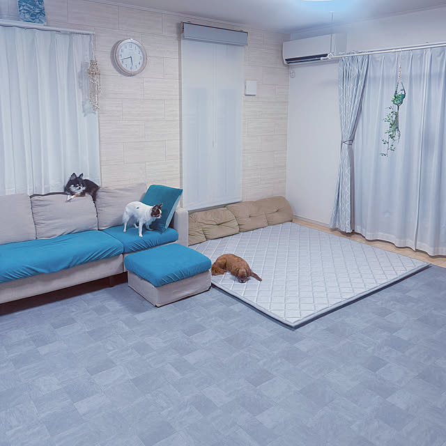 makoさんの実例写真