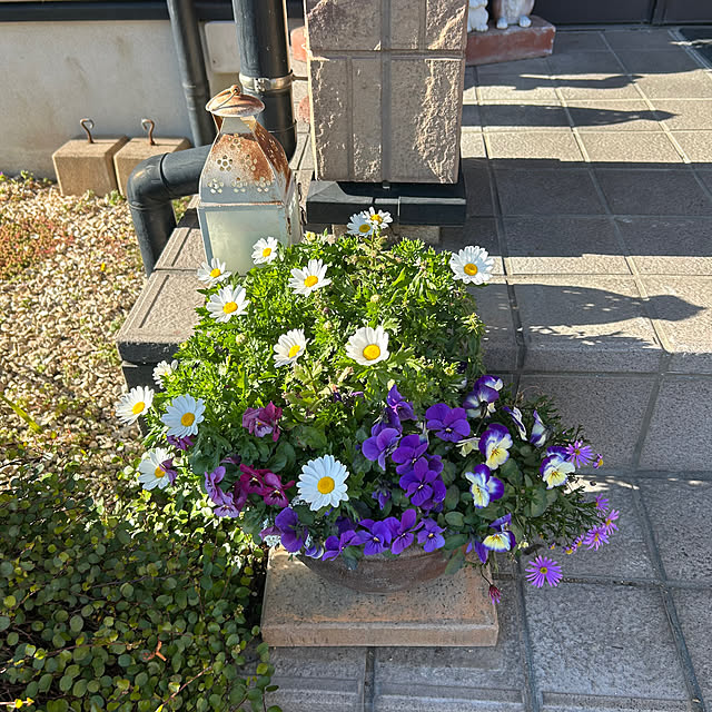 ritsukoさんの部屋
