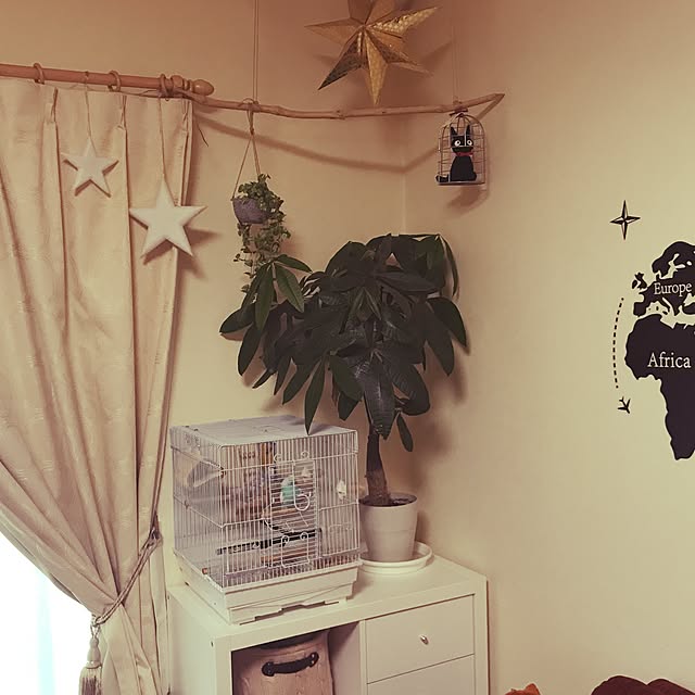 Emiさんの実例写真