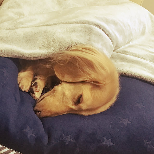 acoさんの実例写真