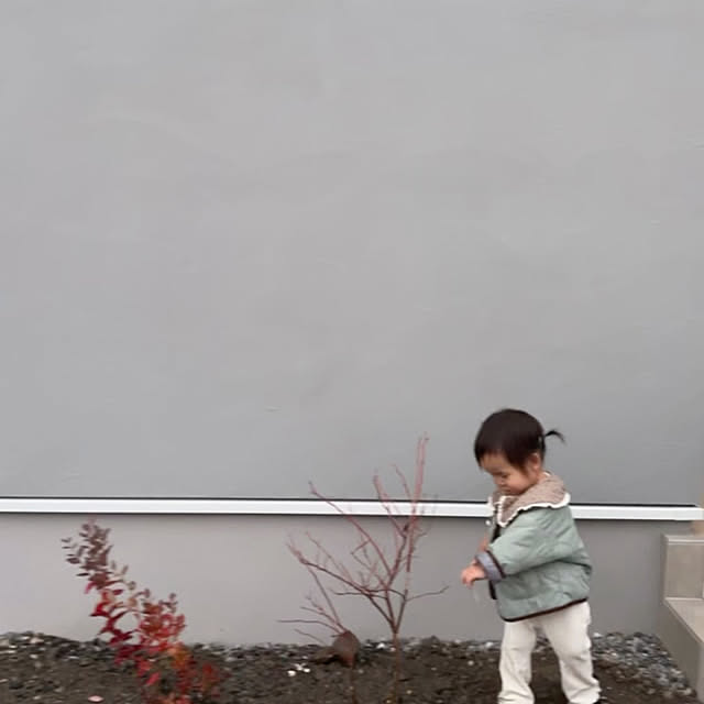 suuさんの実例写真