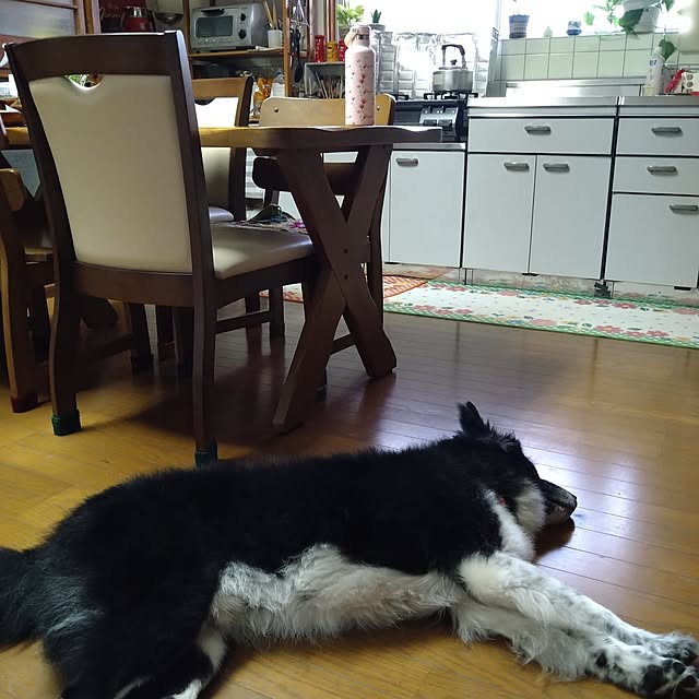 nacoさんの実例写真