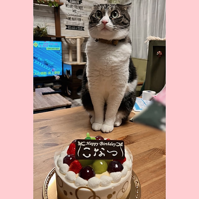 sumoanzuさんの実例写真