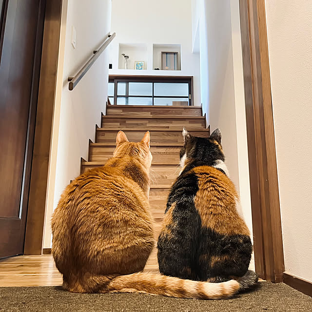 Maruさんの実例写真