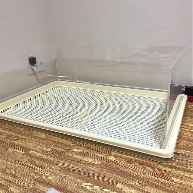 wata_papaさんの実例写真